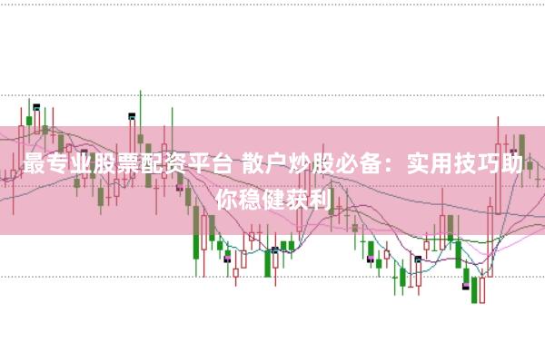 最专业股票配资平台 散户炒股必备：实用技巧助你稳健获利