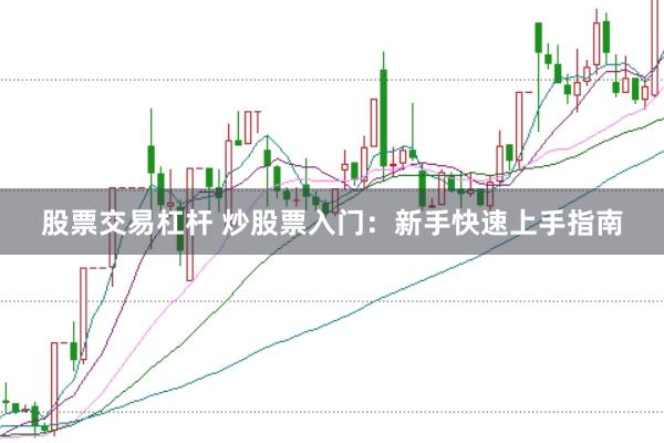 股票交易杠杆 炒股票入门：新手快速上手指南