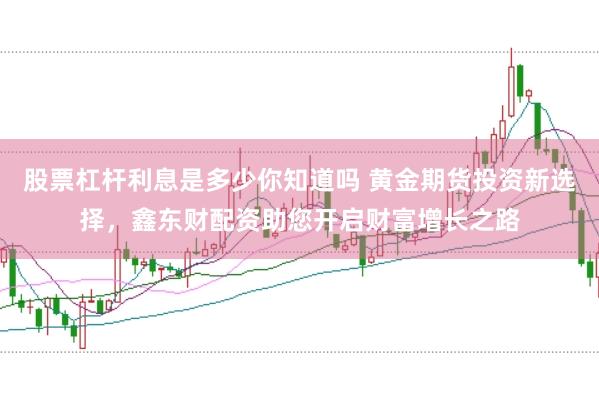 股票杠杆利息是多少你知道吗 黄金期货投资新选择，鑫东财配资助您开启财富增长之路