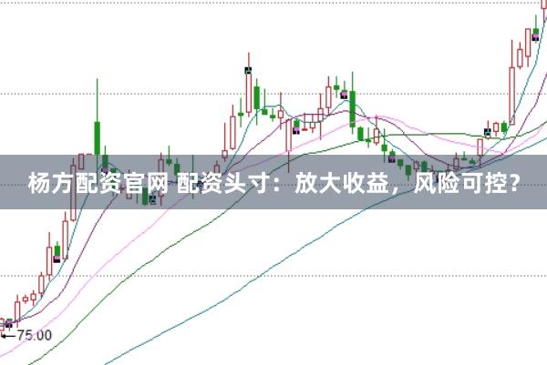 杨方配资官网 配资头寸：放大收益，风险可控？