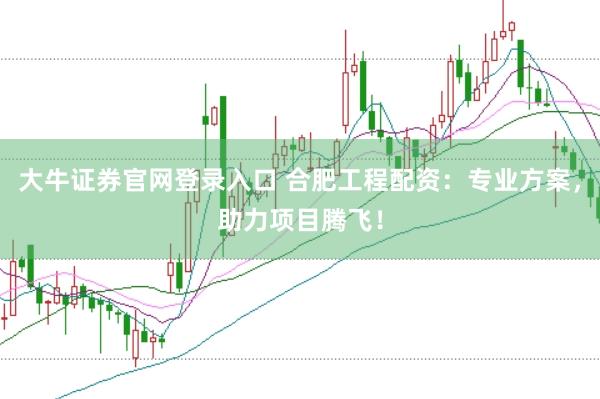 大牛证券官网登录入口 合肥工程配资：专业方案，助力项目腾飞！