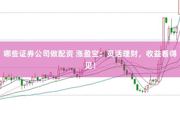 哪些证券公司做配资 涨盈宝：灵活理财，收益看得见！