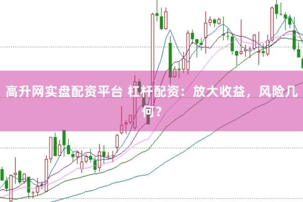 高升网实盘配资平台 杠杆配资：放大收益，风险几何？