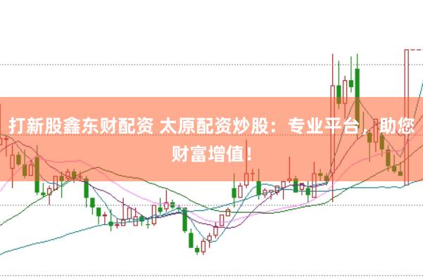 打新股鑫东财配资 太原配资炒股：专业平台，助您财富增值！