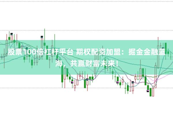 股票100倍杠杆平台 期权配资加盟：掘金金融蓝海，共赢财富未来！