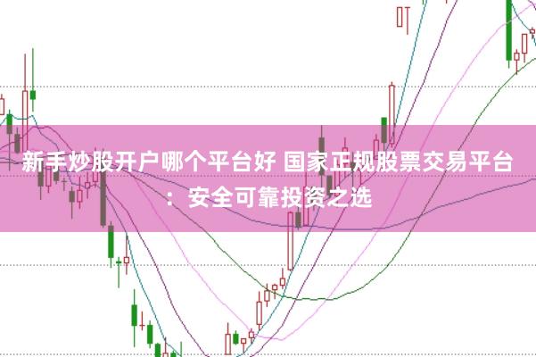 新手炒股开户哪个平台好 国家正规股票交易平台：安全可靠投资之选