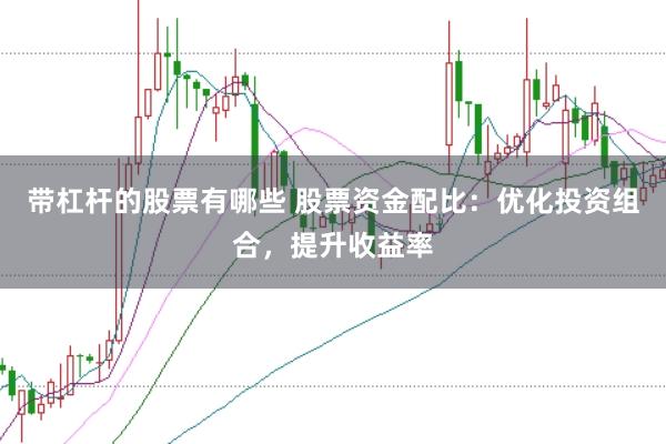 带杠杆的股票有哪些 股票资金配比：优化投资组合，提升收益率