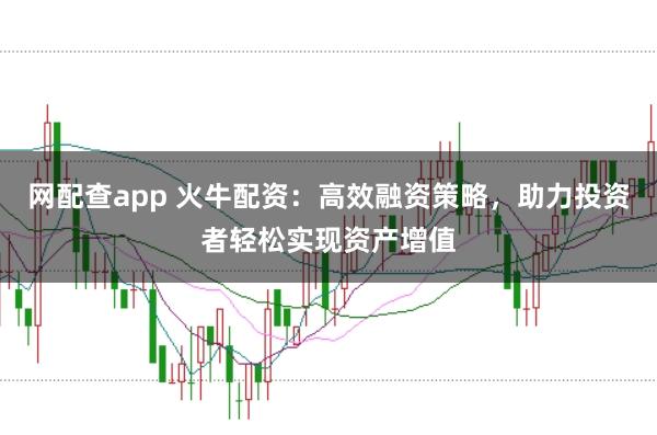 网配查app 火牛配资：高效融资策略，助力投资者轻松实现资产增值