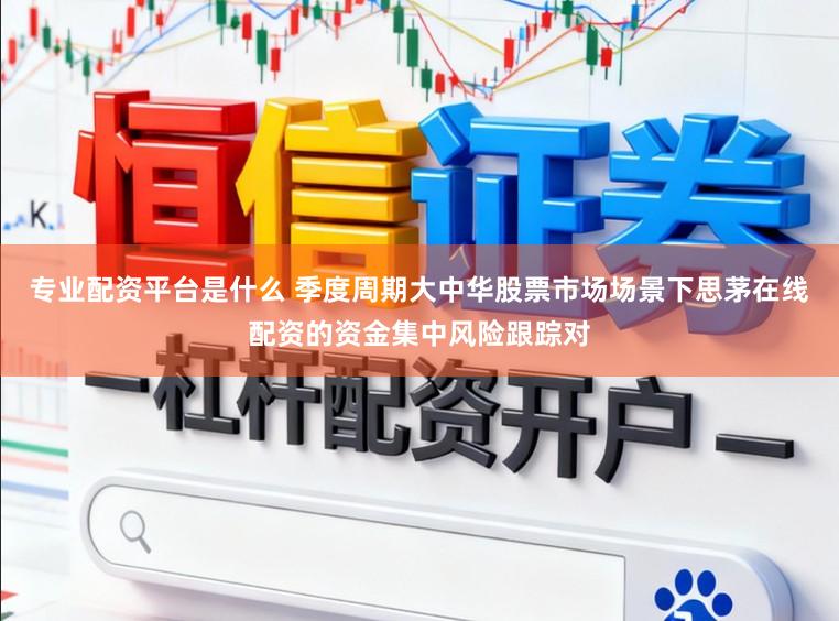 专业配资平台是什么 季度周期大中华股票市场场景下思茅在线配资的资金集中风险跟踪对