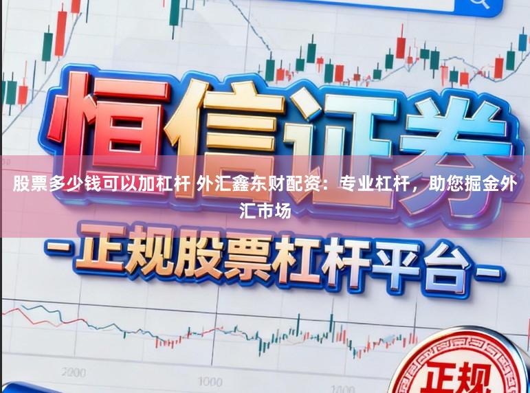 股票多少钱可以加杠杆 外汇鑫东财配资：专业杠杆，助您掘金外汇市场